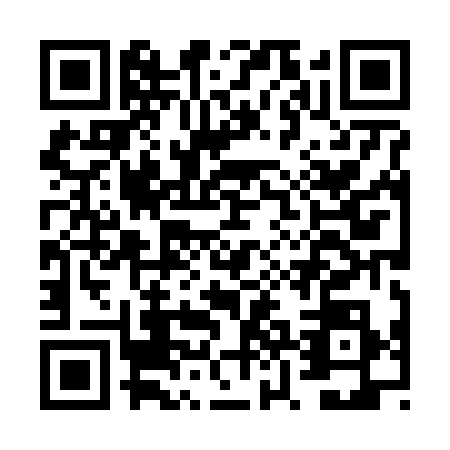QR code for FZH6389