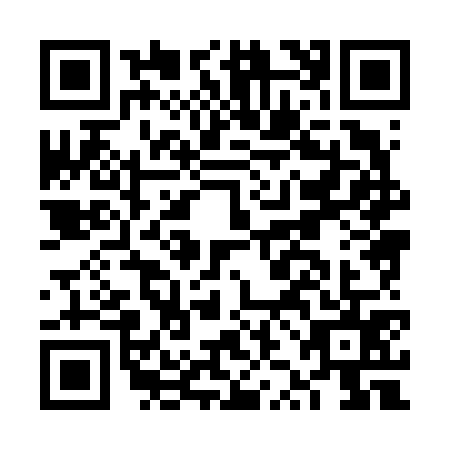 QR code for FZH6753