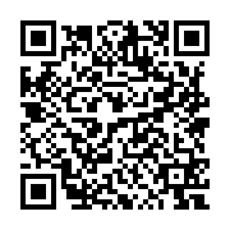 QR code for FZM9603