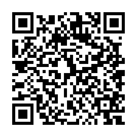 QR code for FZN0046
