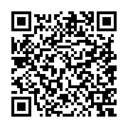 QR code for FZN9728