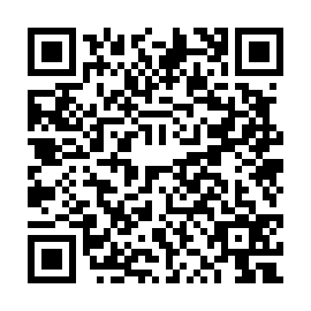 QR code for FZO4369