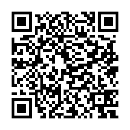 QR code for FZQ5390