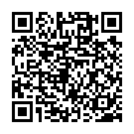 QR code for GAE6313