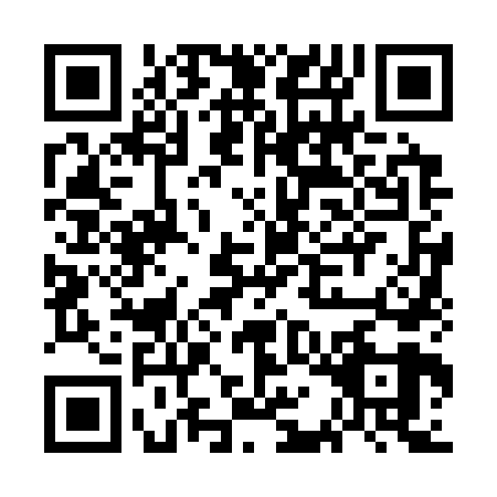 QR code for GAN3691