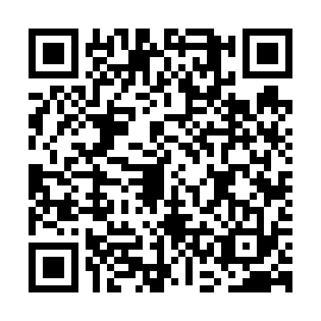 QR code for GCF6338