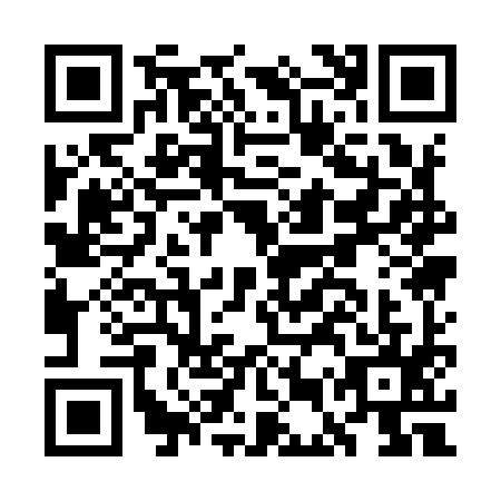 QR code for GEQ9953
