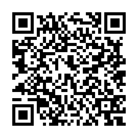 QR code for GFJ8333