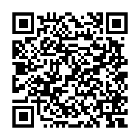 QR code for GIS4497