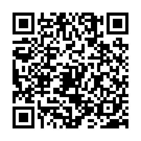 QR code for GJI2010