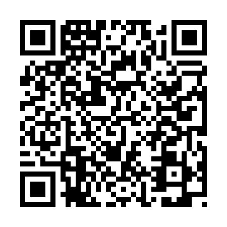 QR code for GJX0595