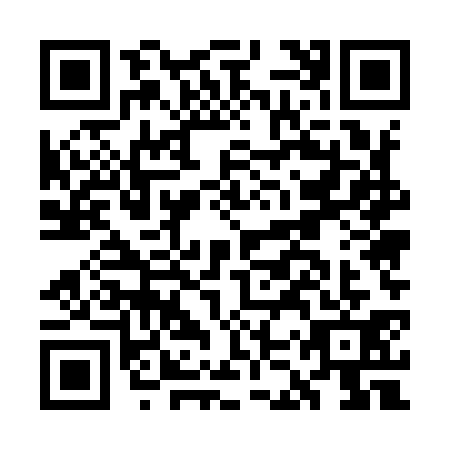QR code for GKU9313
