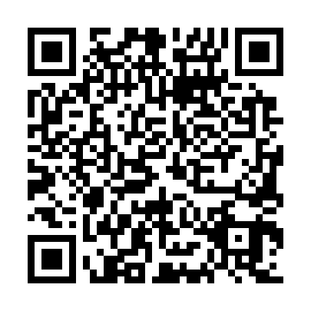 QR code for GME3419
