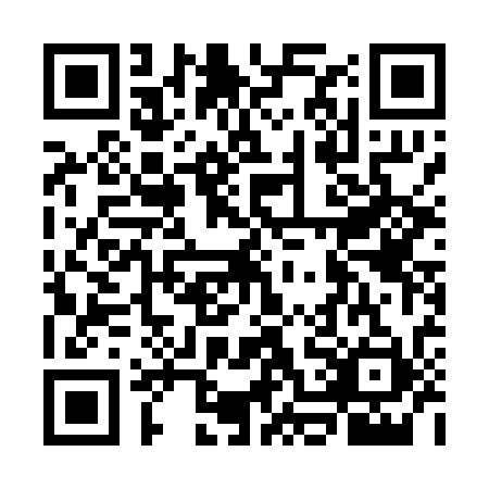 QR code for GOE0313