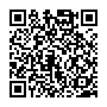 QR code for GOY9382