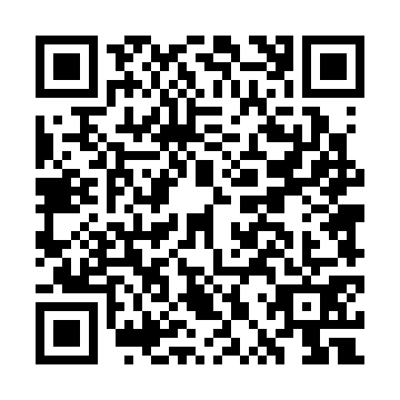 QR code for GPT3717