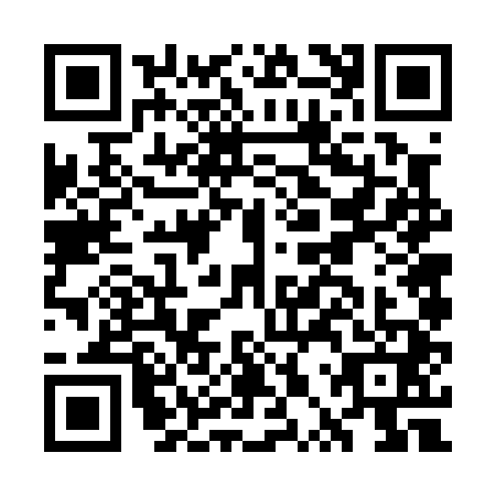 QR code for GPV0411