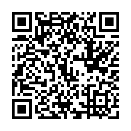 QR code for GSI6382