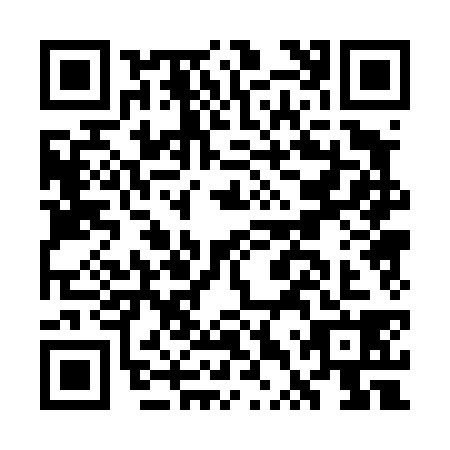 QR code for GTP4383