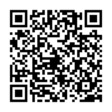 QR code for GUI2341