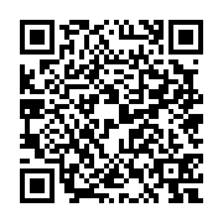 QR code for GUU0313