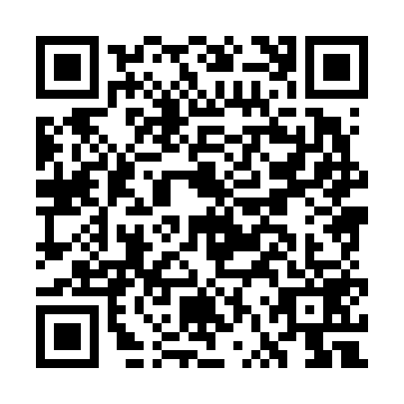 QR code for GVX6597