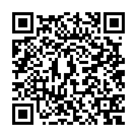 QR code for GZR0313