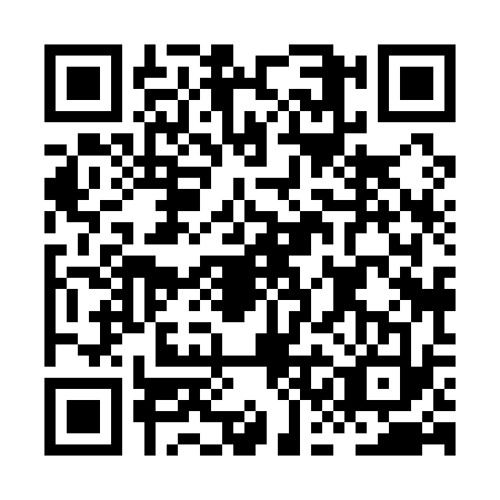 QR code for HCH1333