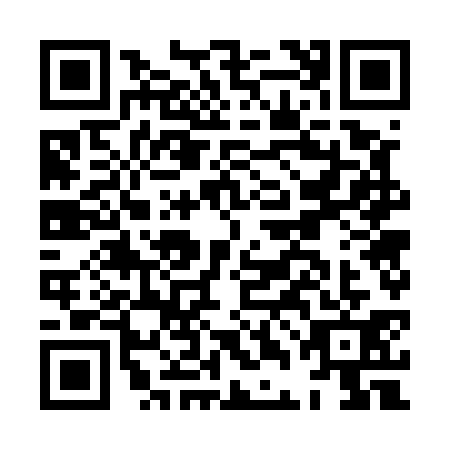 QR code for HDG5313