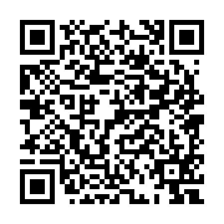 QR code for HFP2951
