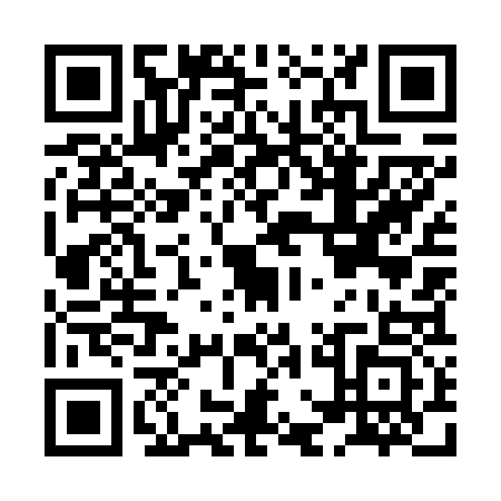 QR code for HGO6333