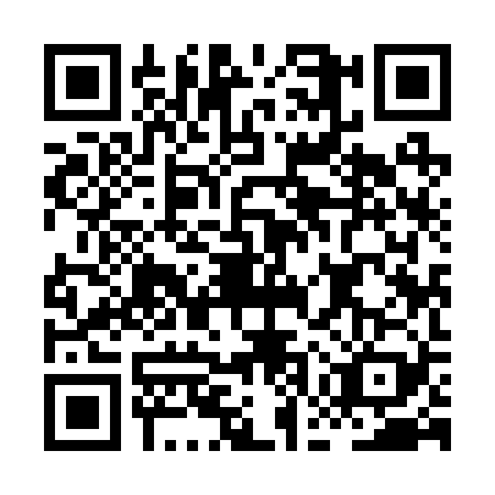 QR code for HGY2294
