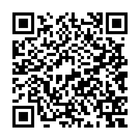 QR code for HHD0379
