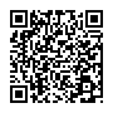 QR code for HHR0161