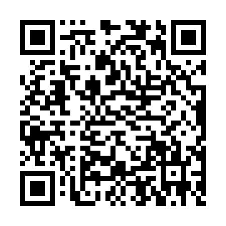 QR code for HIN4838