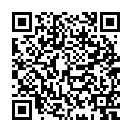 QR code for HIS2919