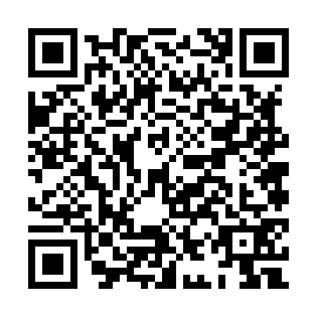 QR code for HIV8729