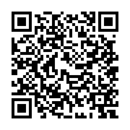 QR code for HIZ0539