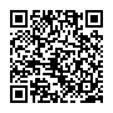 QR code for HJC2334