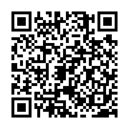 QR code for HJV6733