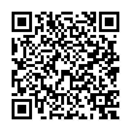 QR code for HJX0311