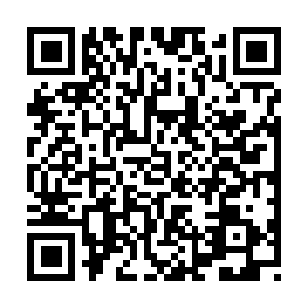 QR code for HLV6313