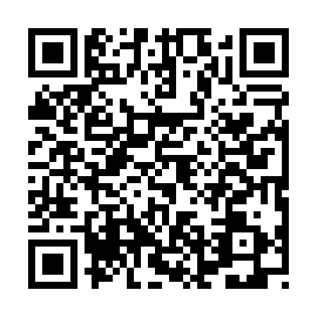QR code for HNA0311
