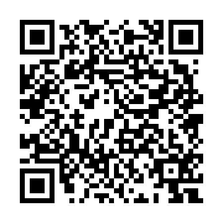 QR code for HNP6163