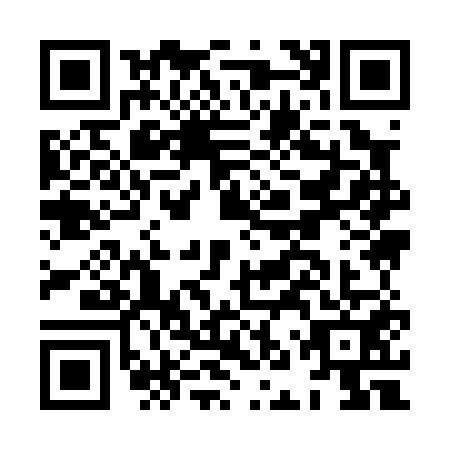 QR code for HNY0513