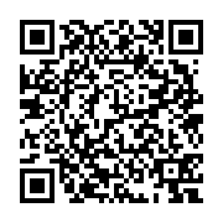 QR code for HOC6313