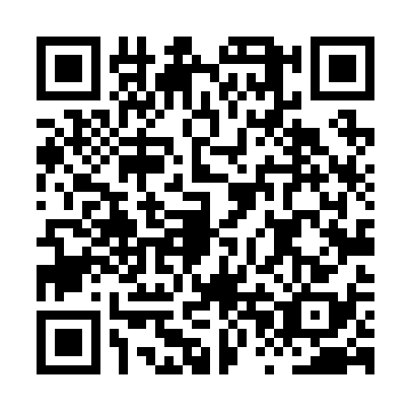 QR code for HPL2382