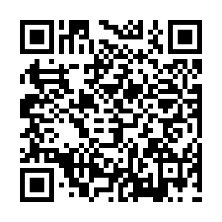 QR code for HPN2509