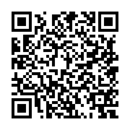QR code for HPP8541