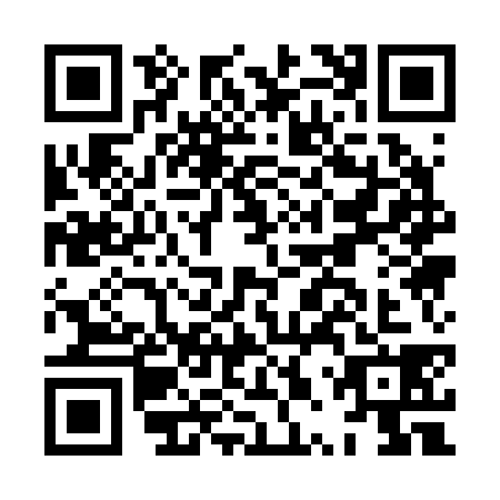 QR code for HPQ2389
